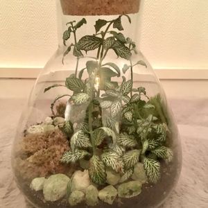 Donne bocal avec plantes à l’intérieur