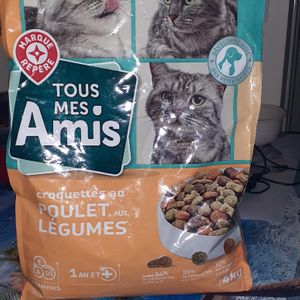 croquettes chat