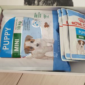 Kit mini Puppy royal canin neuf