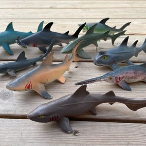 Gang de requins tueur
