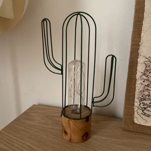 Cactus lumineux