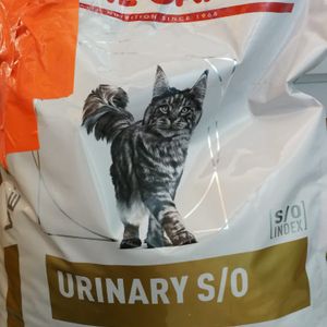 Urinary S/O, croquettes pour Chat