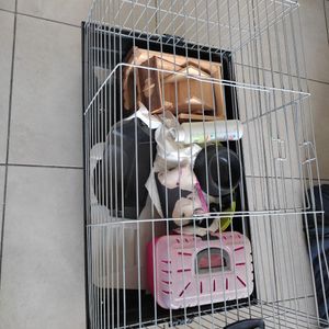Cage à hamster 