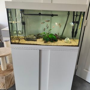 Aquarium 120L complet avec meuble
