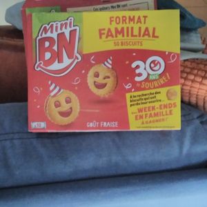 Format familial mini BN FRAISE