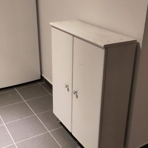 Petit meuble de cuisine/salle de bain