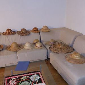 Collection de chapeaux 