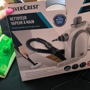 Nettoyeur vapeur