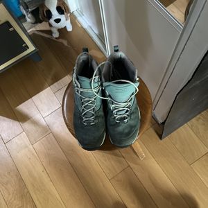 Chaussures de randonnées 38