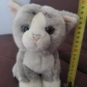 Petit chat
