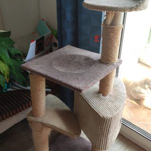 Arbre a chat 