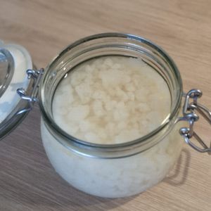 Grains de kéfir 