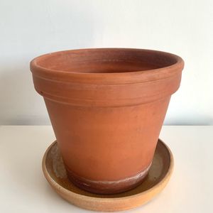 Pot (haut 21 cm), soucoupe (diam 24 cm)