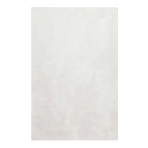 Tapis blanc cassé 225x160