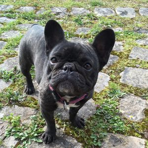 Gaëlle �.