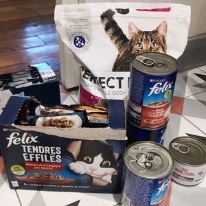 Nourriture pour chat