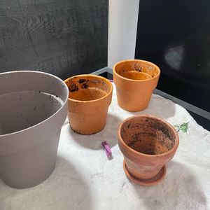 Donne 4 pots de fleurs 