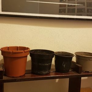 Lot pots différentes tailles 