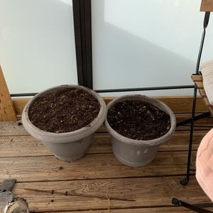 pots avec terre