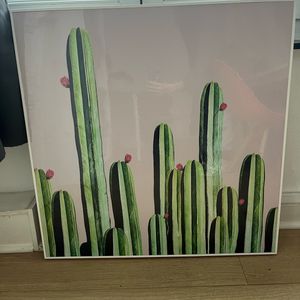 Cadre cactus 