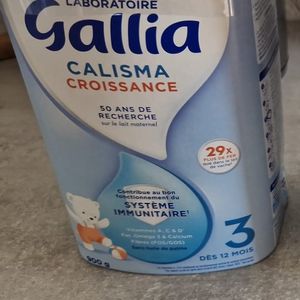 Gallia calisma 3