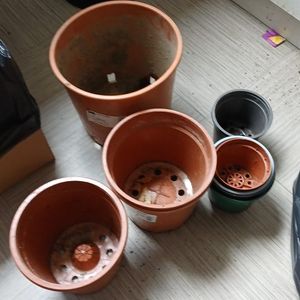 Pots fleurs et plantes