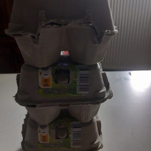 Carton b œufs vide recyclage 