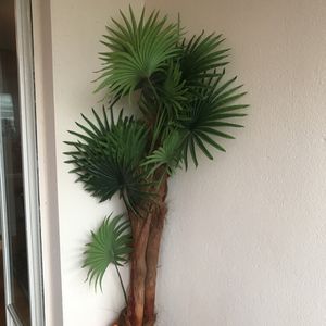 Donne palmiers 🌴 artificiels 
