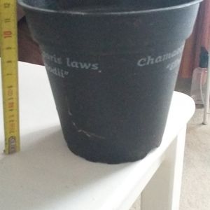 Pot plastique pour plante diamètre 13.5cm H12.5
