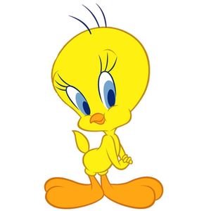 Jay N.