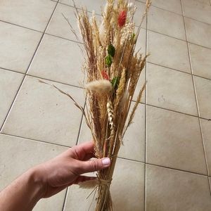 Bouquet de blé, pampa 