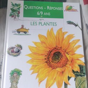 Les plantes 