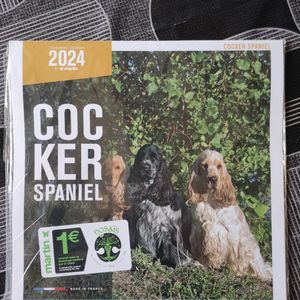Calendrier cocker spaniel