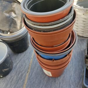 Pots pour fleurs et semis 