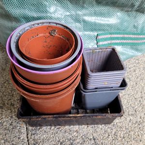 Pots plastiques pour semis