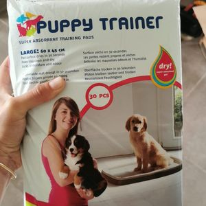 Puppy trainer 
