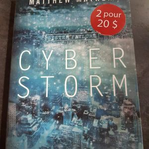 Cyber storm