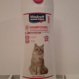 Shampooing chat
