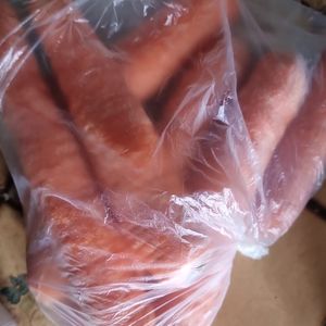 Carrottes 734g