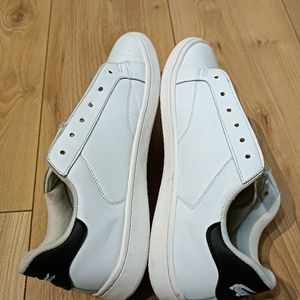 Chaussure Lacoste 42