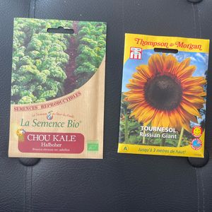 Graines de tournesol et de chou kale à planter