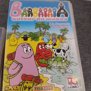 DVD barbapapa