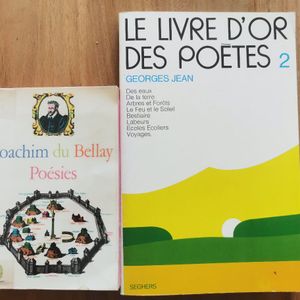 2 livres de poésie 