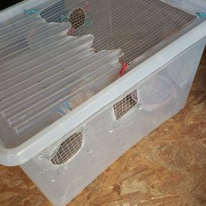 Cage pour hamster faite main