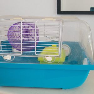 Cage a hamster .