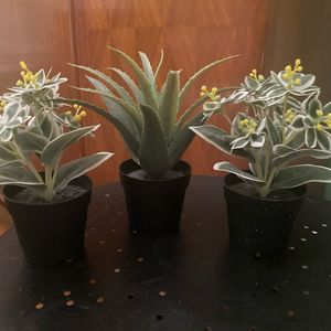 Trois plantes artificielles 