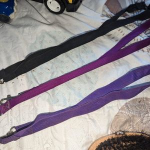 Accessoires pour laisse rallonge double violette 