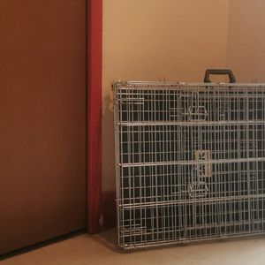 Cage de transport pour chien jusqu 10 kilo 