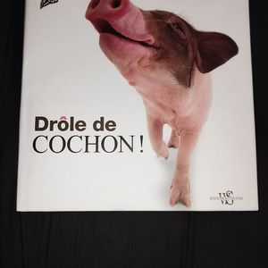 Livre de collection sur les cochons 