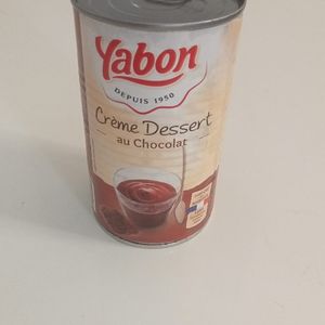 Crème dessert au chocolat 